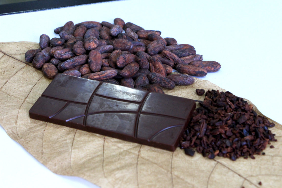 2 Chocolate mais saudável a partir de insumos da floresta amaazônica