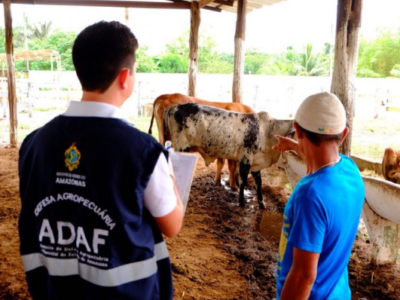 Lista dos candidatos de nível superior aptos para correção da prova discursiva do concurso da Adaf é publicada