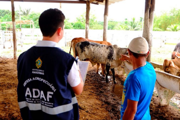 Lista dos candidatos de nível superior aptos para correção da prova discursiva do concurso da Adaf é publicada